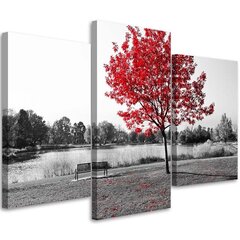 Trijų dalių reprodukcija Medis raudonuose lapuose kaina ir informacija | Reprodukcijos, paveikslai | pigu.lt