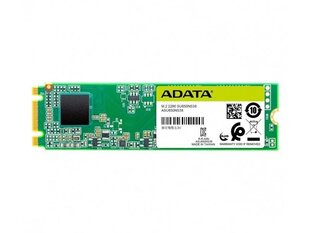 Adata ASU650NS38-240GT-C kaina ir informacija | Vidiniai kietieji diskai (HDD, SSD, Hybrid) | pigu.lt