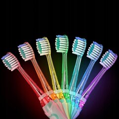 Зубная щетка Seago SG-977 цена и информация | Электрические зубные щетки | pigu.lt