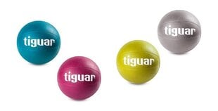 Gimnastikos kamuolys Tiguar, 3 kg, žalias kaina ir informacija | Gimnastikos kamuoliai | pigu.lt
