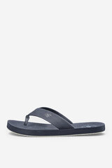 Men's Flip-Flop Sandals 4FRMM00FFLIM139-22S Graphite 32450-R цена и информация | Мужские шлепанцы, босоножки | pigu.lt