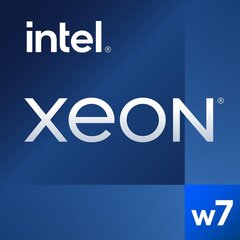 Intel Xeon W-2495X Box kaina ir informacija | Procesoriai (CPU) | pigu.lt