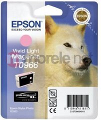 Epson C13T09664010 цена и информация | Картриджи для струйных принтеров | pigu.lt