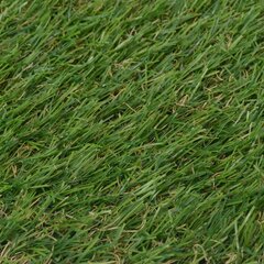 Dirbtinė žolė, 1x8 m 20 mm kaina ir informacija | Kilimai | pigu.lt