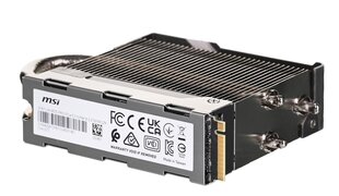 MSI SPATIUM M570 PRO 2TB PCIe 5.0 NVMe M.2 FROZR (S78-440Q670-P83)SSD цена и информация | Внутренние жёсткие диски (HDD, SSD, Hybrid) | pigu.lt