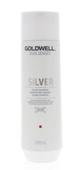 Geltonus plaukų tonus neutralizuojantis šampūnas šviesiems plaukams Goldwell Dualsenses Silver 250 ml kaina ir informacija | Šampūnai | pigu.lt