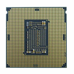 Процессор Intel BX80701G6400 цена и информация | Процессоры (CPU) | pigu.lt