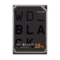 Western Digital WD101FZBX kaina ir informacija | Vidiniai kietieji diskai (HDD, SSD, Hybrid) | pigu.lt