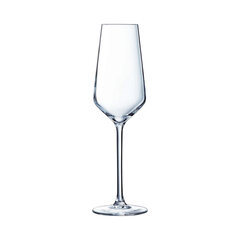 Negazuotas šampanas ir cava taurė Chef &amp; Sommelier Distinction 6 vnt. stiklas (230 ml) цена и информация | Кухонная утварь | pigu.lt