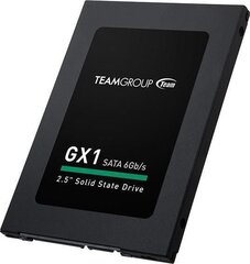 TEAMGROUP T253X1240G0C101 цена и информация | Внутренние жёсткие диски (HDD, SSD, Hybrid) | pigu.lt