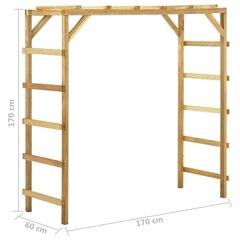 Lauko laipiojimo sienelė , 170x60x170 cm kaina ir informacija | Čiuožyklos, laipiojimo kopetėlės | pigu.lt