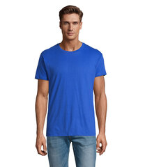 Vyriški ryškiai mėlyni marškinėliai Regent kaina ir informacija | Sportinė apranga vyrams | pigu.lt
