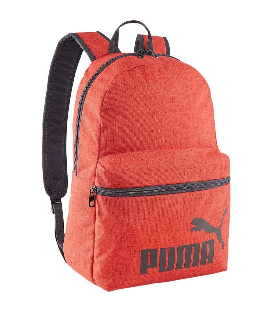 Kuprinė Puma 090118*02, raudona kaina ir informacija | Kuprinės mokyklai, sportiniai maišeliai | pigu.lt