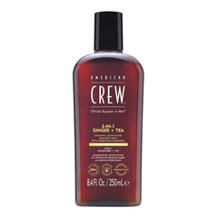 American Crew 3-in-1 imbieras + arbatos šampūnas, kondicionierius ir dušo želė, 250 ml kaina ir informacija | Dušo želė, aliejai | pigu.lt