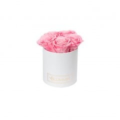 Stabilizuotos rožės Blummin – Midi white / Baby pink kaina ir informacija | Miegančios rožės, stabilizuoti augalai | pigu.lt