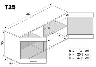 Sieninė vitrininė spintelė, Extreme Furniture, T25, Juodas karkasas ir matiniai arba blizgūs priekiai kaina ir informacija | Vitrinos, indaujos | pigu.lt