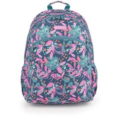 Школьный рюкзак Brisa цена и информация | Школьные рюкзаки, спортивные сумки | pigu.lt