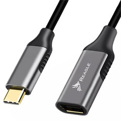 Adapteris Reagle USB-C DisplayPort USB-C kaina ir informacija | Adapteriai, USB šakotuvai | pigu.lt