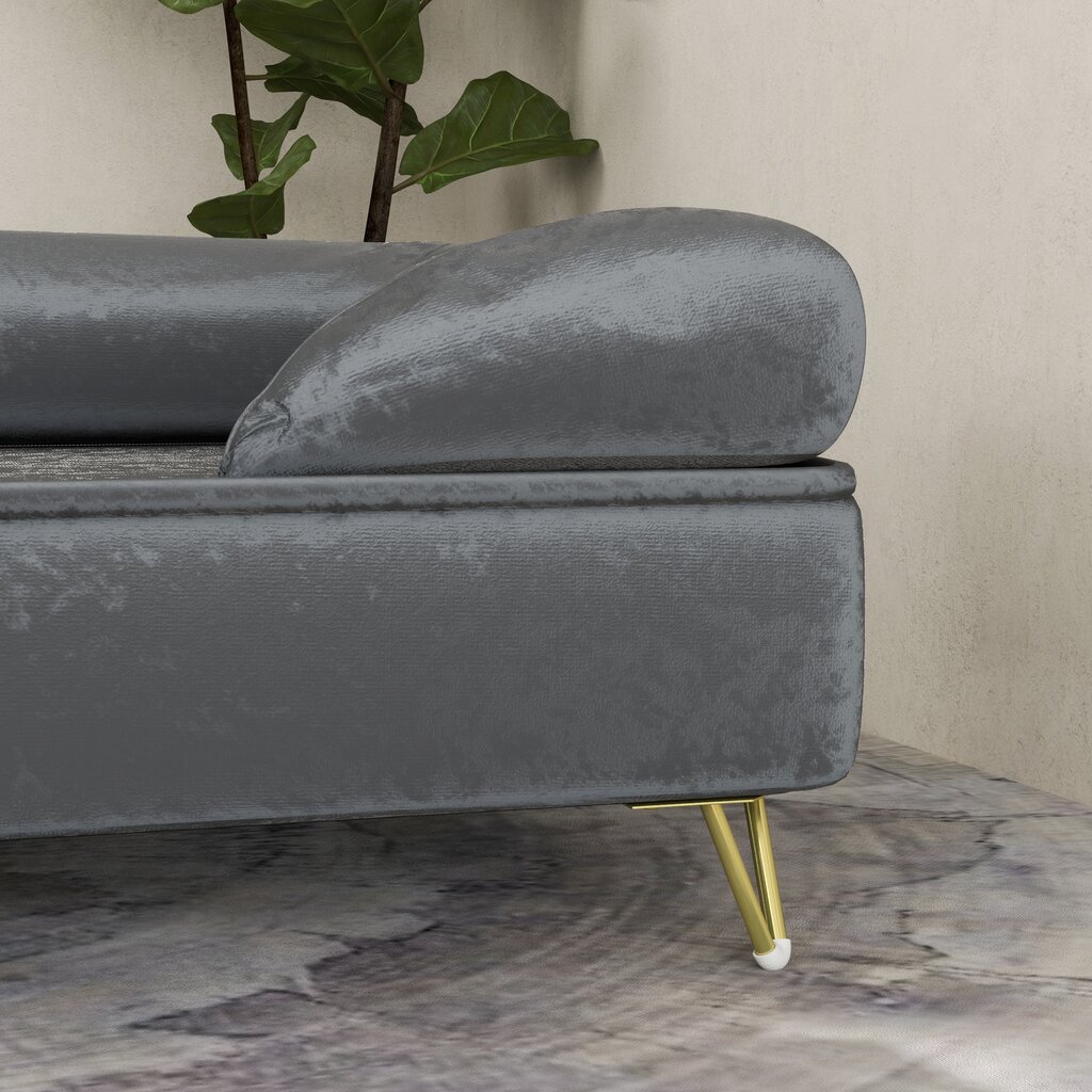 "PawHut" sofa šunims su pagalvėle, skalbiamas užvalkalas, naminių gyvūnėlių sofa su nuimamu atlošu ir metalinėmis kojelėmis, katės sofa mažiems ir vidutinio dydžio šunims, pilka kaina ir informacija | Guoliai, pagalvėlės | pigu.lt