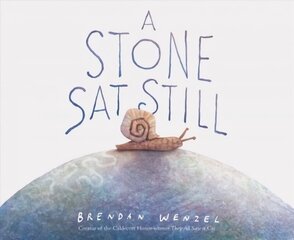 Stone Sat Still: Environmental and Nature Picture Book for Kids, Perspective Book for Preschool and Kindergarten, Award Winning Illustrator kaina ir informacija | Knygos mažiesiems | pigu.lt