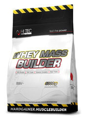 Hi Tec Nutrition  Whey Mass Builder - 6000g - Blueberry-Vanilla цена и информация | Добавки и препараты для набора мышечной массы | pigu.lt