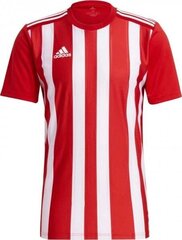 Marškinėliai Adidas Striped 21 JSY, raudoni/balti kaina ir informacija | Futbolo apranga ir kitos prekės | pigu.lt