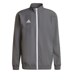 Мужской свитер Adidas Entrada 22 H57535, серый цена и информация | Футбольная форма и другие товары | pigu.lt