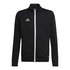 Vaikiškas megztinis Adidas Entrada 22 Tk Jkt H57520, juodas kaina ir informacija | Futbolo apranga ir kitos prekės | pigu.lt