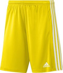 Vyriški šortai adidas Squadra 21 GN5772, geltoni, M kaina ir informacija | Futbolo apranga ir kitos prekės | pigu.lt