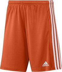 Vyriški šortai adidas Squadra 21 GN8084, oranžiniai, M kaina ir informacija | Futbolo apranga ir kitos prekės | pigu.lt