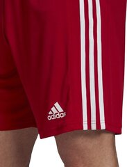 Шорты Adidas Squadra 21, красные цена и информация | Футбольная форма и другие товары | pigu.lt