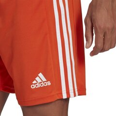 Vyriški šortai adidas Squadra 21 GN8084, oranžiniai, L kaina ir informacija | Futbolo apranga ir kitos prekės | pigu.lt