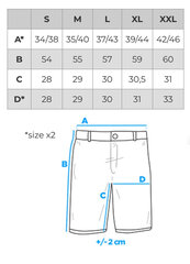 Šortai vyrams Ombre W527 kaina ir informacija | Vyriški šortai | pigu.lt