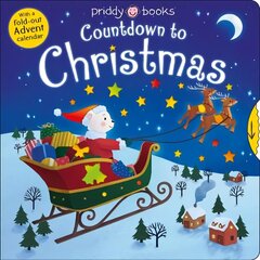 Countdown To Christmas kaina ir informacija | Knygos mažiesiems | pigu.lt