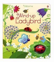 Wind-up Ladybird New edition цена и информация | Книги для малышей | pigu.lt