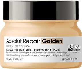 Atkurianti plaukų kaukė L’Oreal Professionnel Serie Expert Absolut Repair Golden 250 ml kaina ir informacija | Priemonės plaukų stiprinimui | pigu.lt