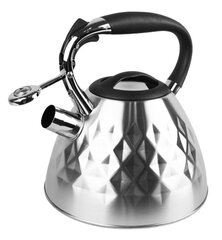 Virdulys Maestro Enameled Kettle, 3,5 L kaina ir informacija | Kavinukai, virduliai | pigu.lt