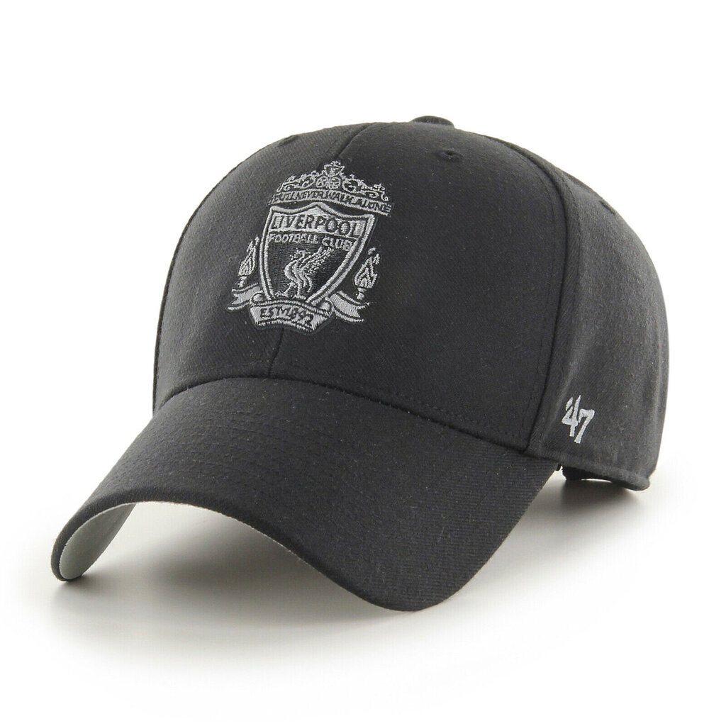 Liverpool FC Metallic kepurė su snapeliu цена и информация | Vyriški šalikai, kepurės, pirštinės | pigu.lt