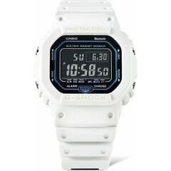 Casio G-Shock мужские часы цена и информация | Мужские часы | pigu.lt