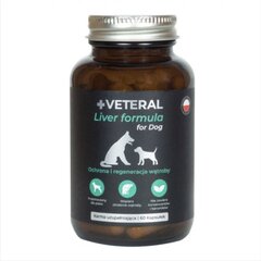 Veteral kepenų funkcijai gerinti papildai šunims, 60 kapsulių kaina ir informacija | Vitaminai, papildai, antiparazitinės priemonės šunims | pigu.lt