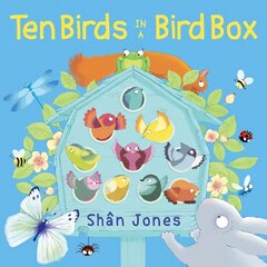 Ten Birds in a Bird Box цена и информация | Книги для малышей | pigu.lt