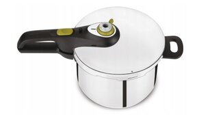 Tefal greitpuodis Secure 5 Neo P2534246, 4 l kaina ir informacija | Puodai, greitpuodžiai | pigu.lt