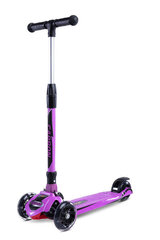 Triratis paspirtukas Toyz Carbon, violetinis, TOYZ-0406 kaina ir informacija | Paspirtukai | pigu.lt