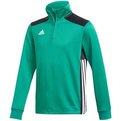 Детский джемпер Adidas Regista 18, зеленый цена и информация | Футбольная форма и другие товары | pigu.lt