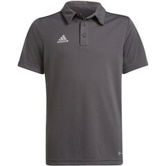 Vaikiški Polo marškinėliai Adidas Entrada 22 H57485, pilki kaina ir informacija | Futbolo apranga ir kitos prekės | pigu.lt