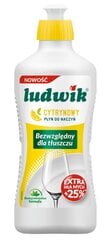 Ludwik indų ploviklis, 1350 g kaina ir informacija | Indų plovimo priemonės | pigu.lt