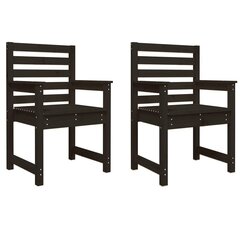 2-jų dalių sodo kėdžių komplektas , juodas цена и информация | Садовые стулья, кресла, пуфы | pigu.lt