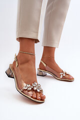 Transparent sandals on golden heel S.Barski MR38-W1 31068-21 цена и информация | Женские босоножки | pigu.lt