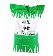 Травяная смесь GrazeMax цена и информация | Газонные смеси | pigu.lt