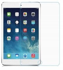 Grūdintas stiklas APPLE IPAD 9.7 2018 AIR 1 AIR 2 kaina ir informacija | Planšečių, el. skaityklių priedai | pigu.lt